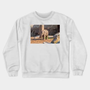 Baby Asian Elephant Crewneck Sweatshirt